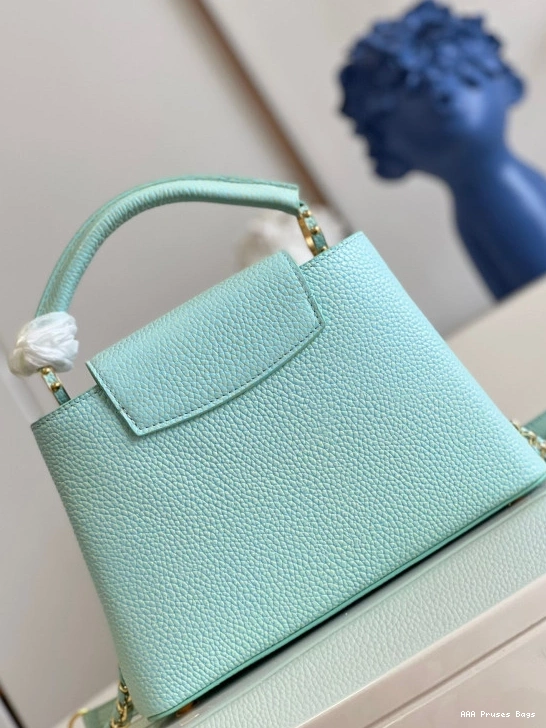 AAA Replica Ru BB CAPUCINES VUITTON LOUIS 0819